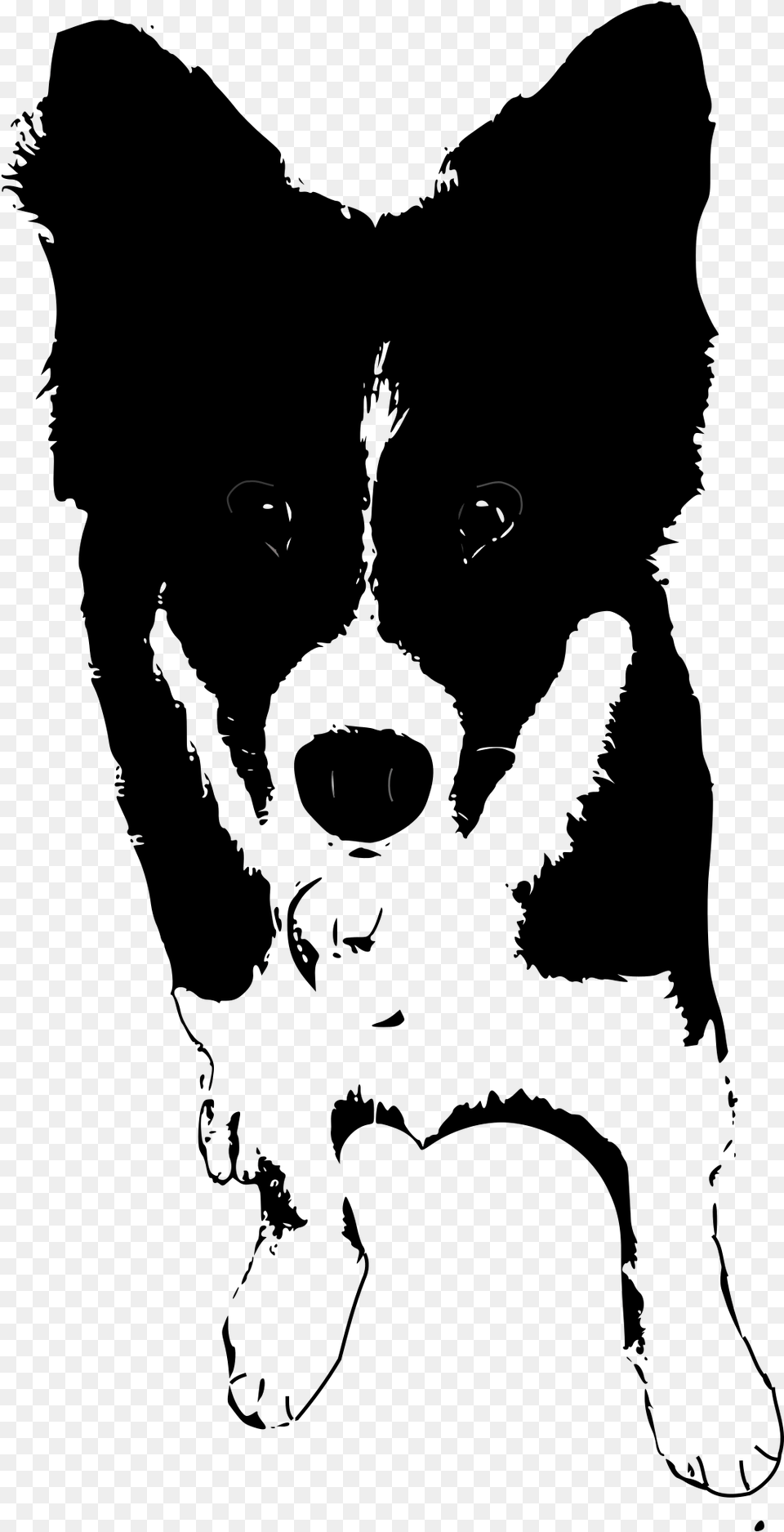 Border Collie Puppy Clip Arts Dogs Clipart Black And White Collie, Silhouette, Animal, Mammal Free Transparent Png