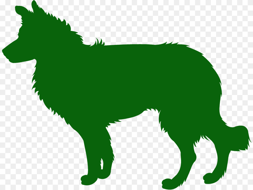 Border Collie Silhouette, Animal, Coyote, Mammal, Canine Free Png Download