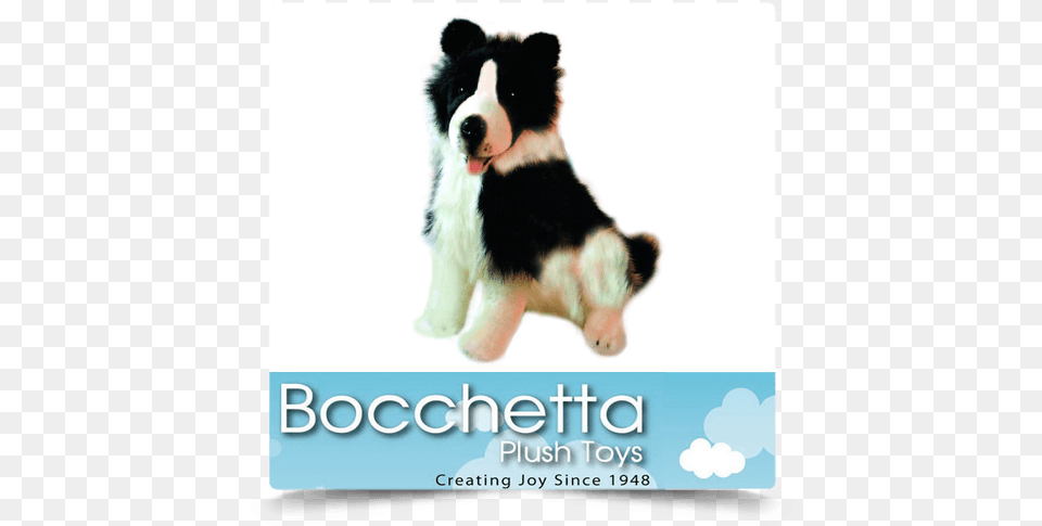 Border Collie Soft Plush Dog Tommy Bocchetta Bocchetta Plush Toys, Animal, Bear, Mammal, Wildlife Png