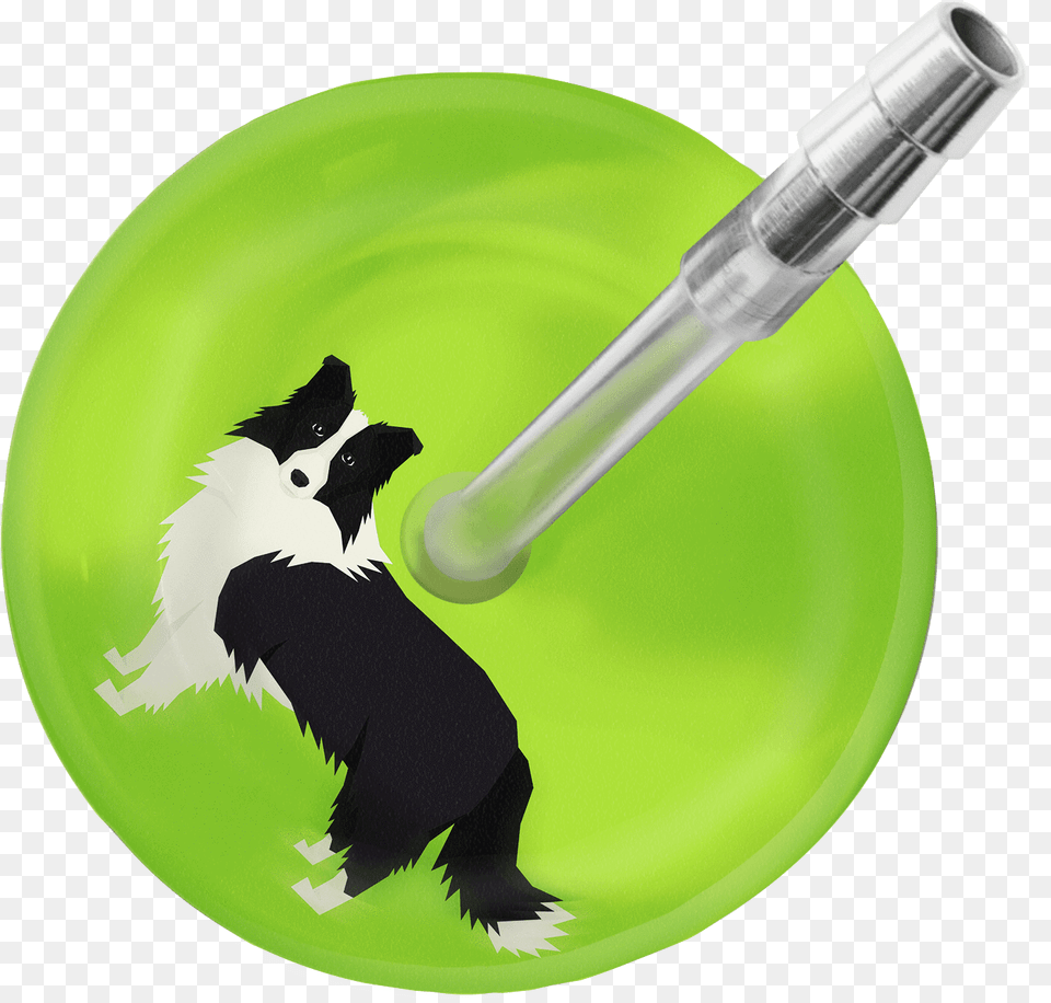 Border Collie Stethoscope Ultrascope, Animal, Canine, Dog, Mammal Png