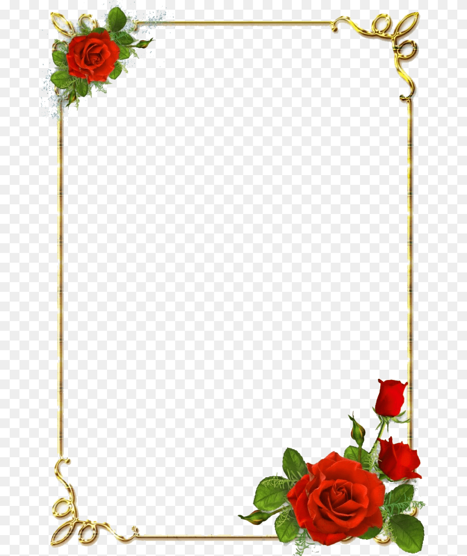 Border Designs Image Rose Flower Border, Plant Free Png