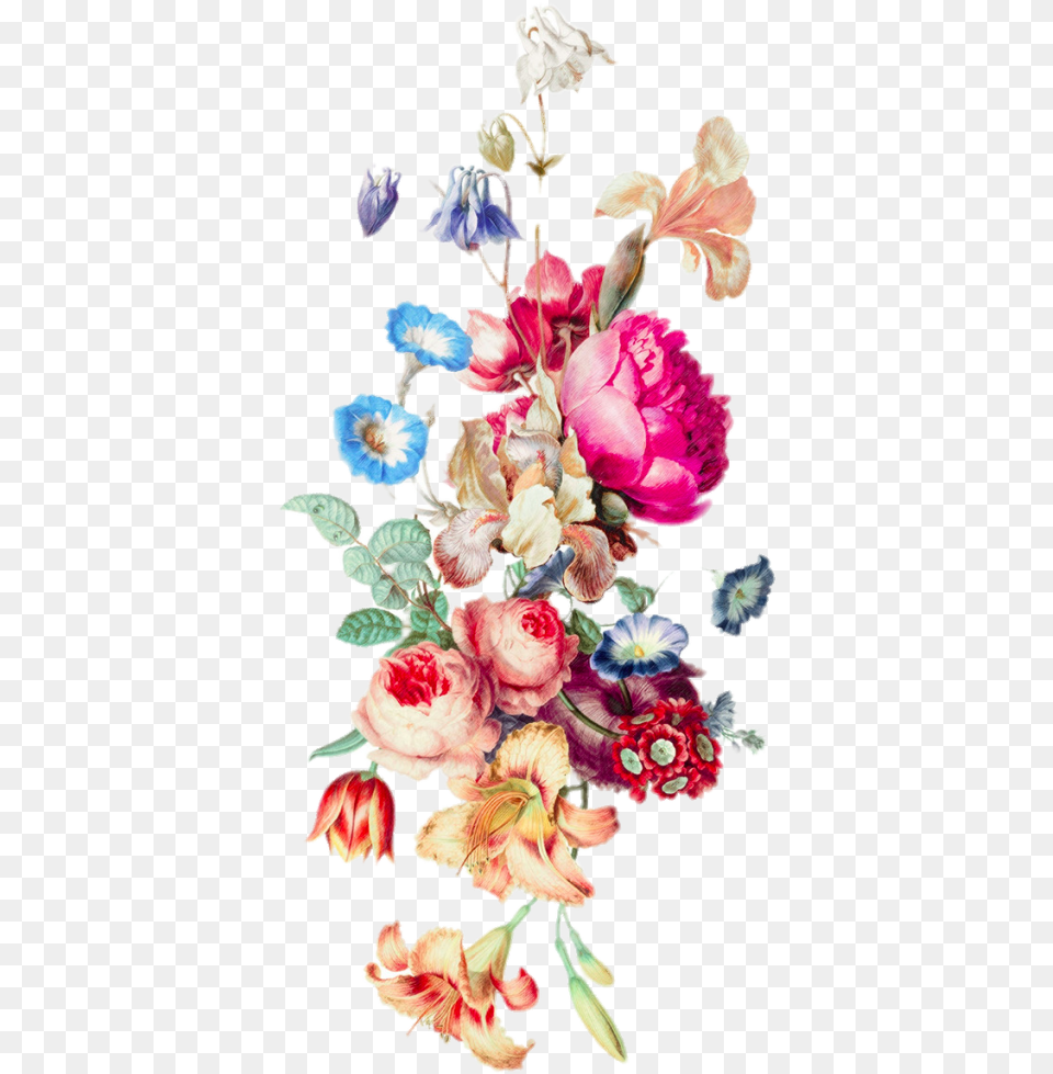 Border Flower Border Flower Vine, Art, Plant, Pattern, Graphics Free Transparent Png