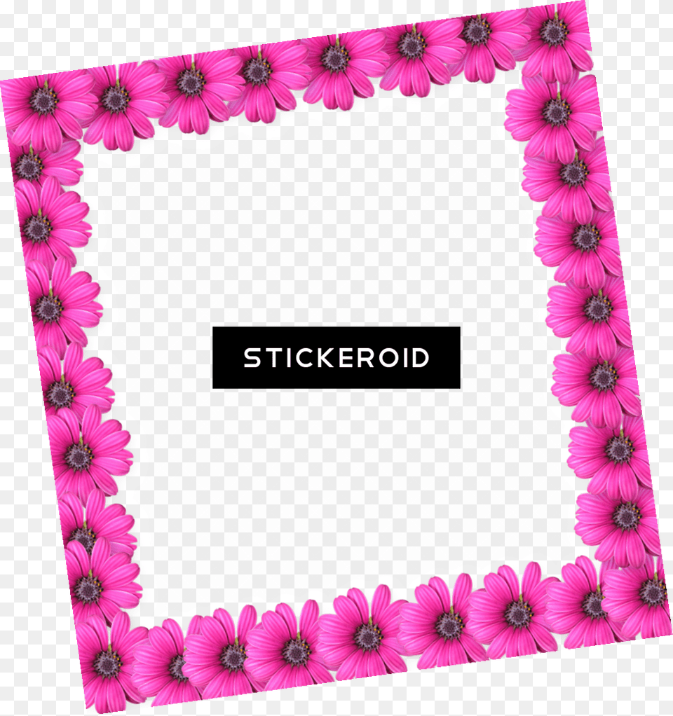 Border Flower Frame Photo Pink, Envelope, Greeting Card, Mail, Dahlia Free Transparent Png