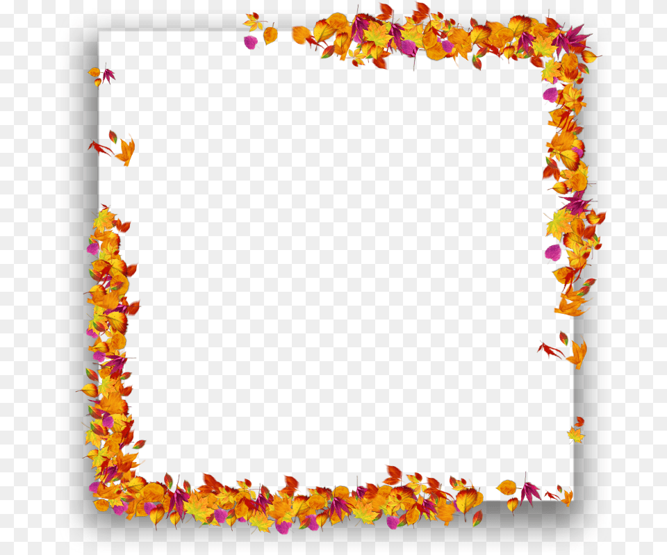 Border Frame Winter Borderline Line Square Shadow Picture Frame, Accessories, Flower, Flower Arrangement, Ornament Free Transparent Png