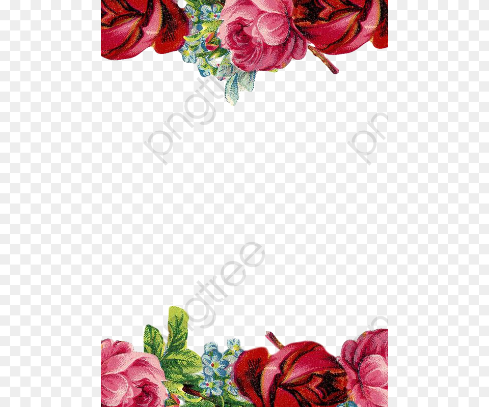 Border Template Red Roses, Art, Floral Design, Pattern, Graphics Free Png Download