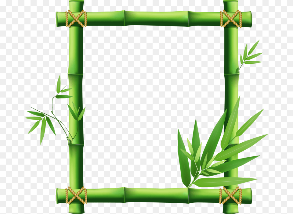 Border Templates Clip Art And Scrapbooking, Bamboo, Plant Free Png Download