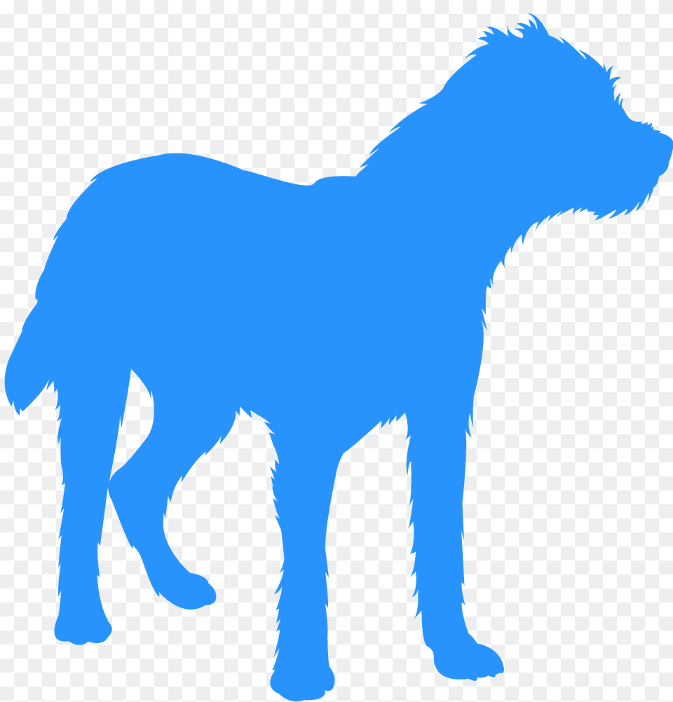 Border Terrier Silhouette, Animal, Canine, Dog, Mammal Png Image