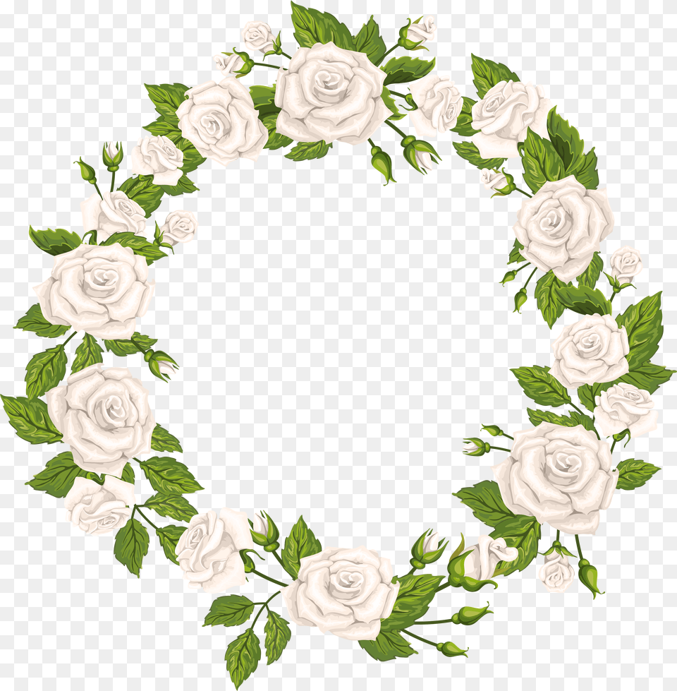 Border White Roses Clipart Free Transparent Png