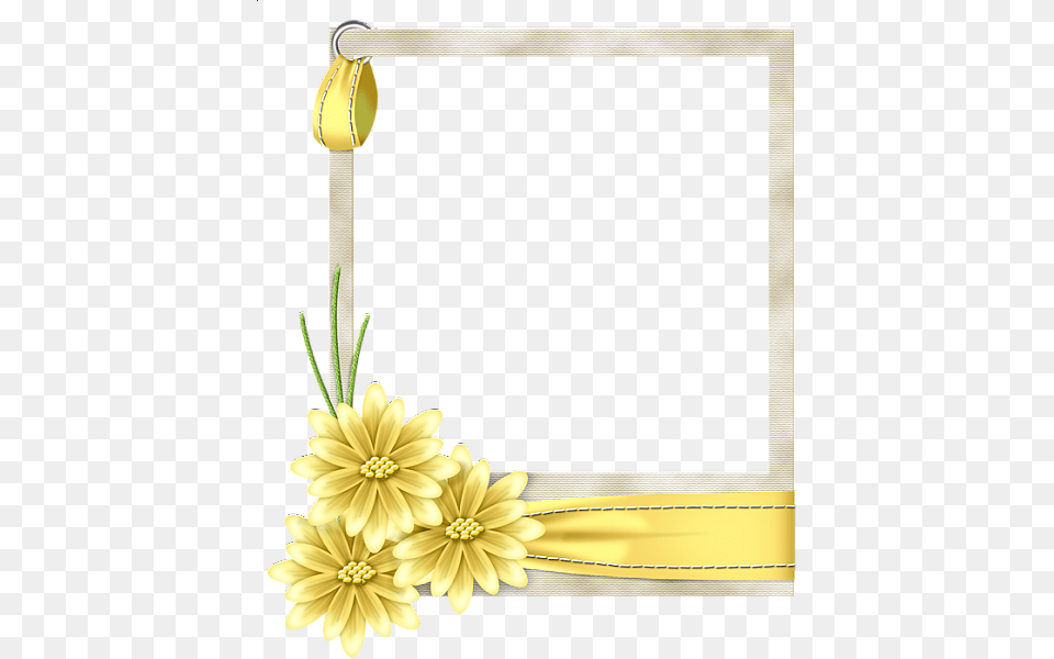 Borders And Frames, Dahlia, Flower, Plant, Daisy Png