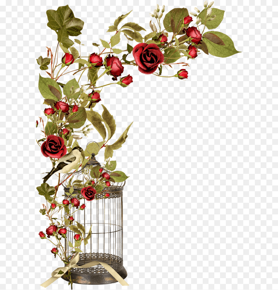 Borders Cantoneiras Cluster Jaula Con Rosas En Bird Cage Flowers, Rose, Plant, Pattern, Graphics Png
