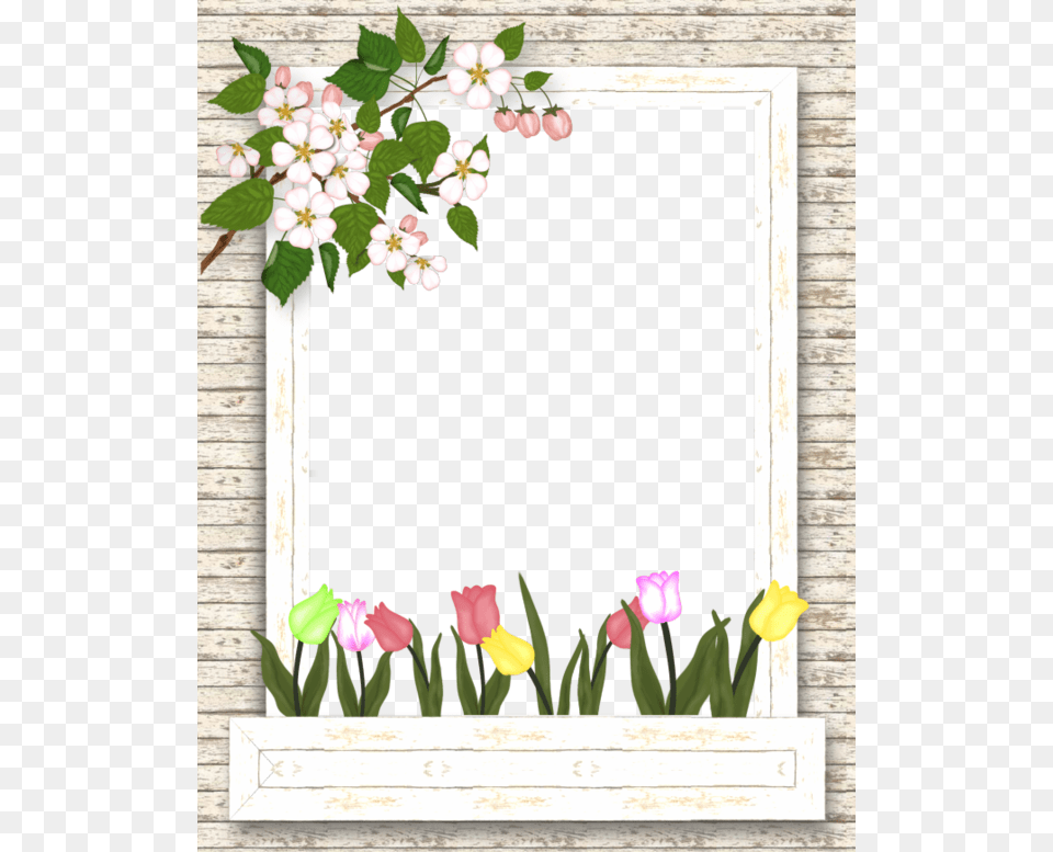 Borders For Paper Borders And Frames Papo Apple Tulip Frame, Flower, Petal, Plant, Art Png Image
