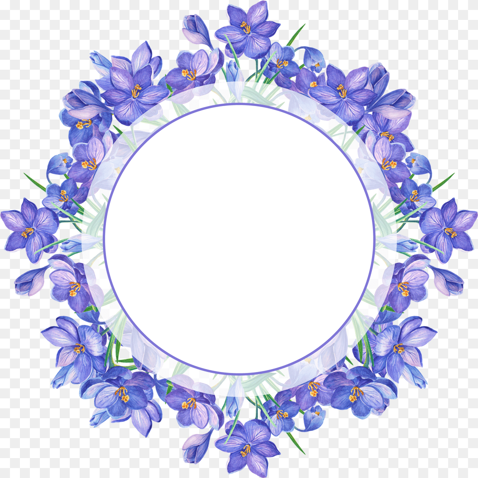 Borders For Paper Borders And Frames Watercolor Flowers Saffron Flower Frame, Plant, Anemone, Oval, Plate Free Png