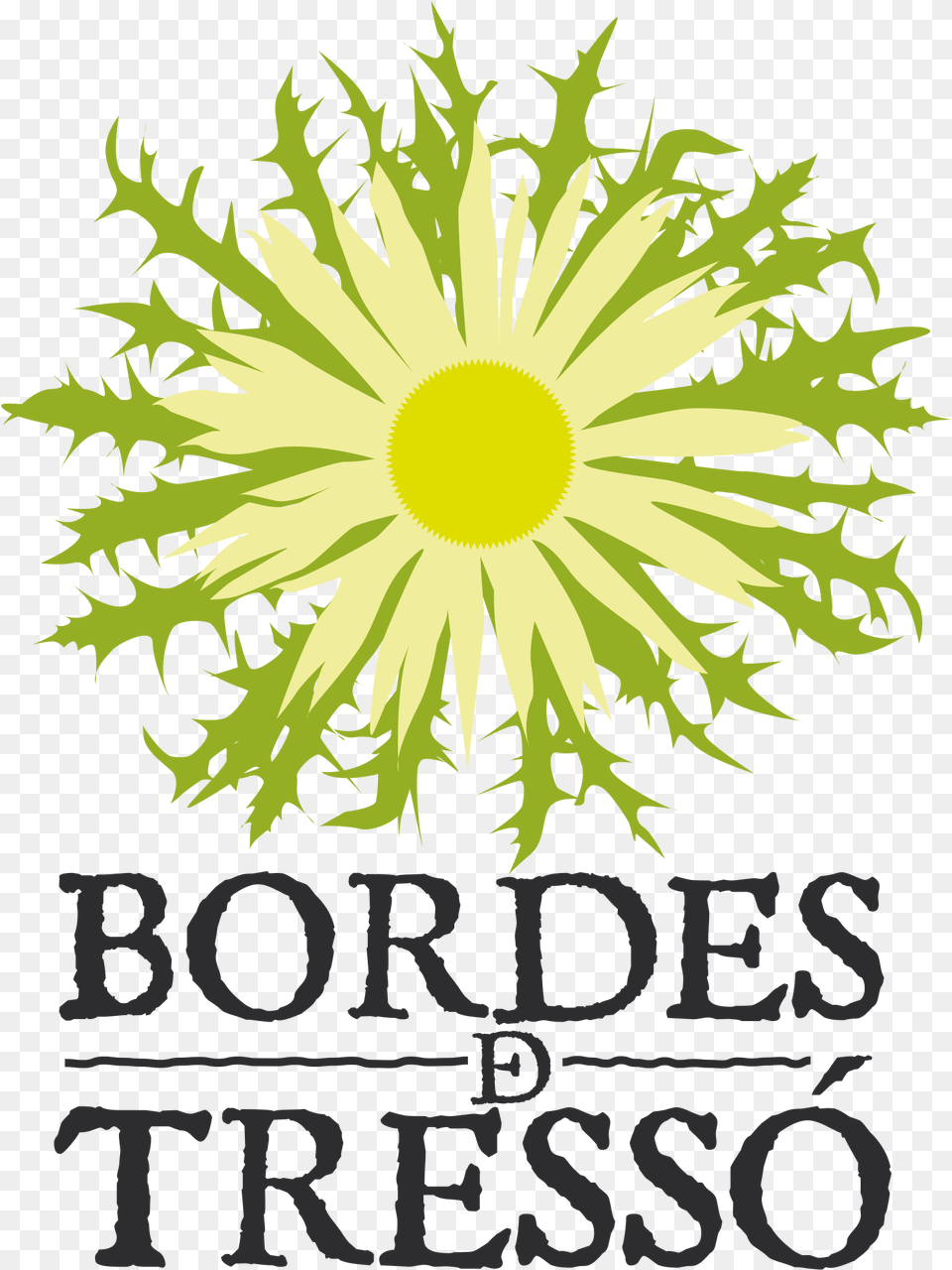 Bordes De Tress Quite Put Out Magnet, Leaf, Plant, Flower, Art Free Transparent Png