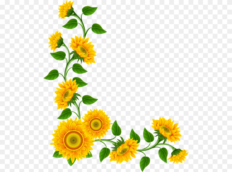 Bordurescoinstubes Clipart Clip Art Clipart Images Flowers, Flower, Plant, Sunflower Png