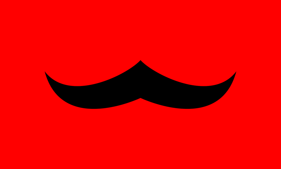 Borduriens Flagga Clipart, Face, Head, Mustache, Person Free Transparent Png
