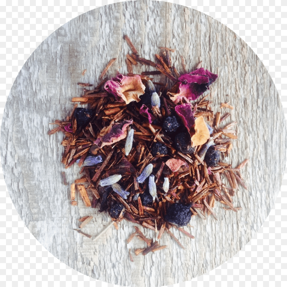 Boreal Berry Final, Herbal, Herbs, Plant, Flower Png Image