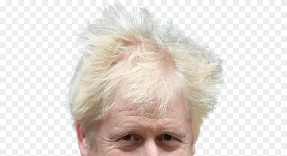 Boris Johnson Hair Show Boris Johnson Transparent Background, Portrait, Blonde, Face, Head Free Png