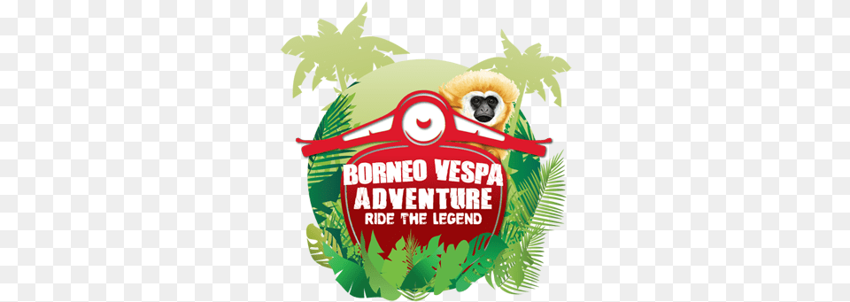 Borneo Vespa Adventure Whooping Gibbon Hemp, Animal, Vegetation, Plant, Zoo Png Image