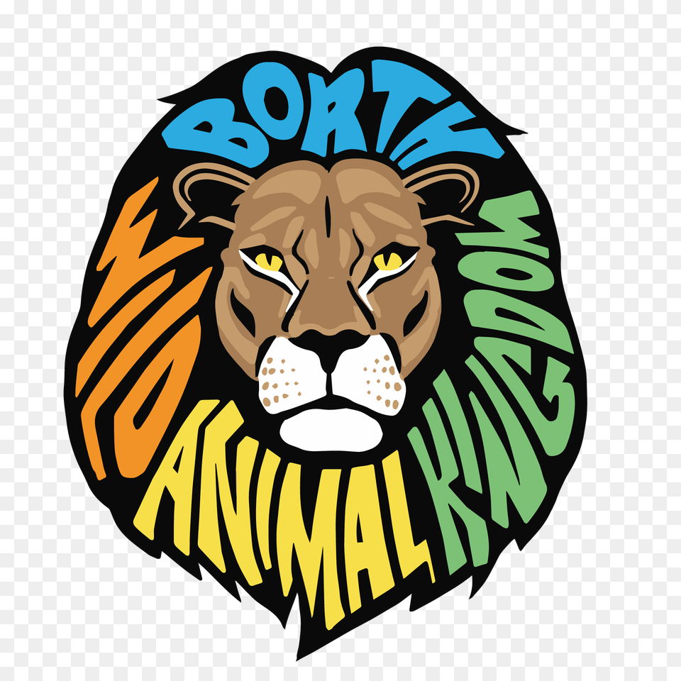 Borth Wild Animal Kingdom The Little Zoo With A Big Heart, Lion, Mammal, Wildlife, Baby Png Image