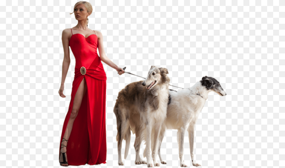 Borzoi, Adult, Person, Formal Wear, Female Free Png