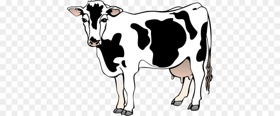 Bos Primigenius, Animal, Cattle, Cow, Dairy Cow Free Png Download