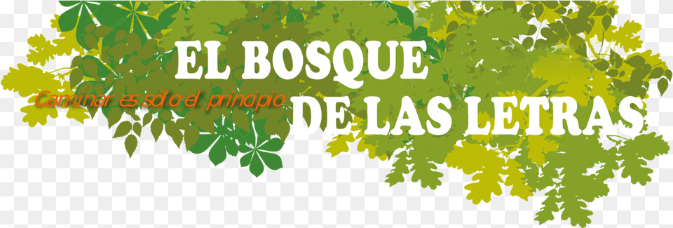 Bosque De Las Letras Latinas Do It Better T, Green, Plant, Vegetation, Leaf Png