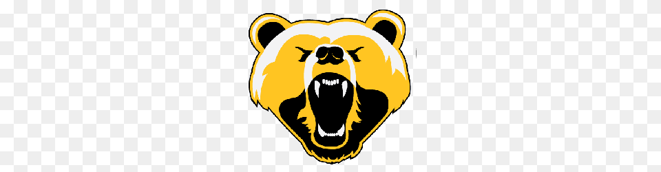 Boston Bruins Concept Logo Sports Logo History, Animal, Bear, Mammal, Wildlife Free Png