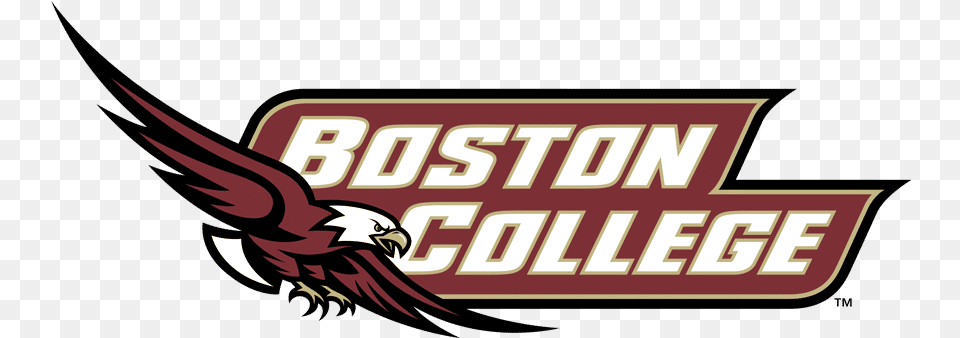 Boston College Boston College, Animal, Bird, Vulture, Food Png