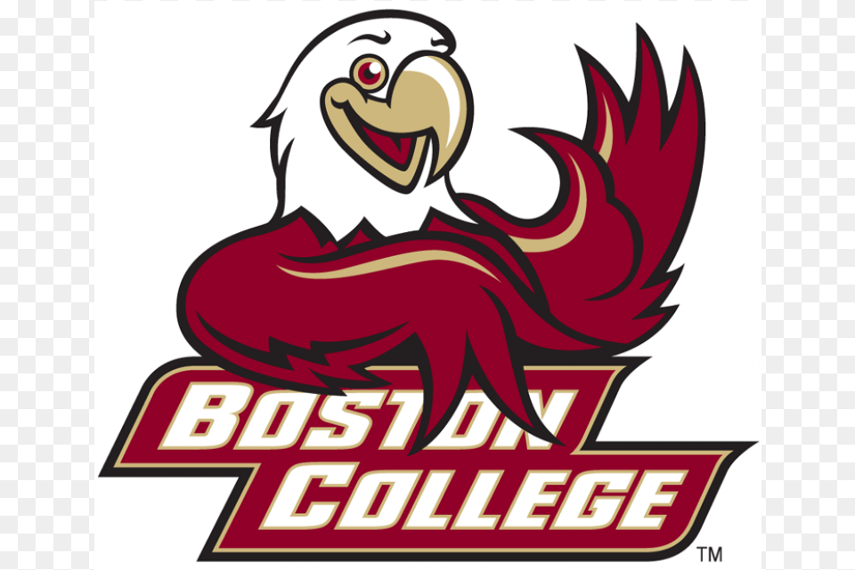 Boston College Eagles Iron Ons Boston College Mascot Logo Png