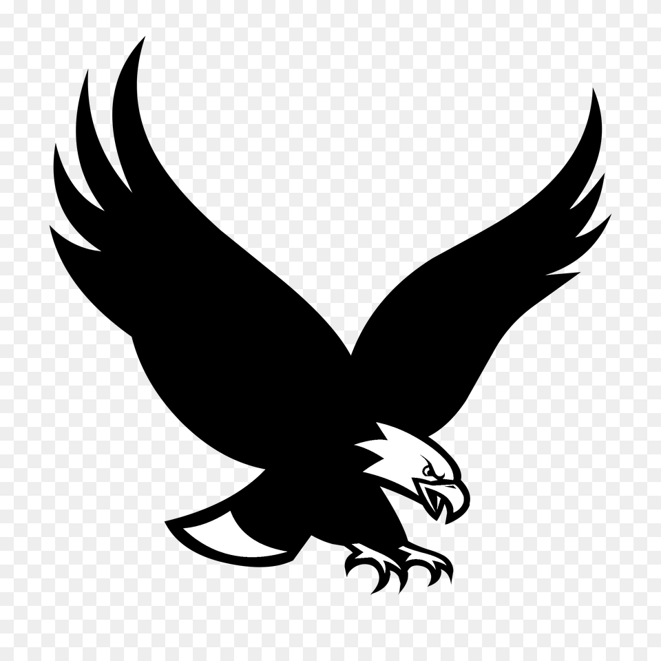 Boston College Eagles Logo Vector, Astronomy, Moon, Nature, Night Free Transparent Png