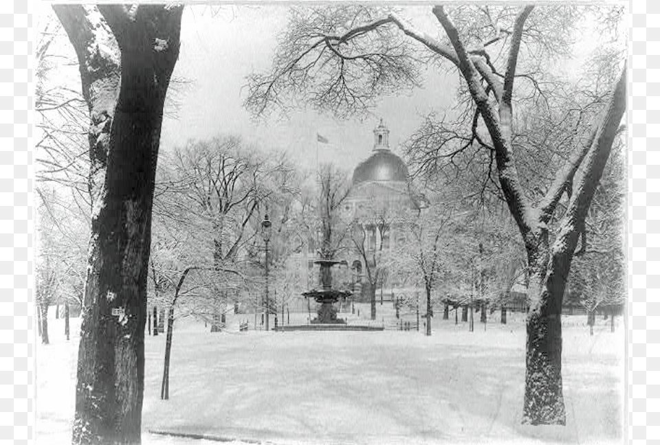 Boston Common, Winter, Outdoors, Nature, Snow Free Png Download