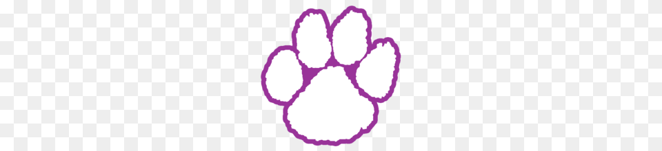 Boston Latin School, Flower, Petal, Plant, Purple Free Png