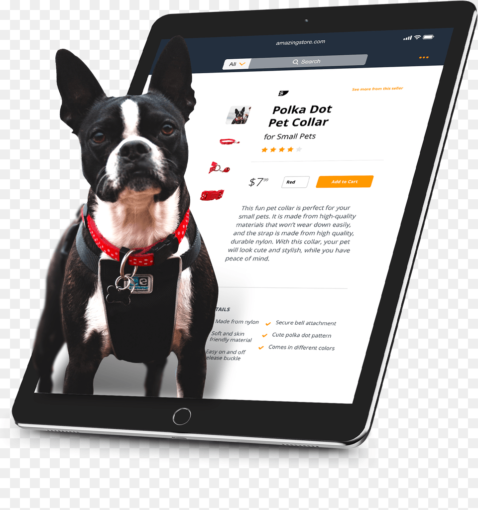 Boston Terrier, Electronics, Computer, Tablet Computer, Canine Free Png Download