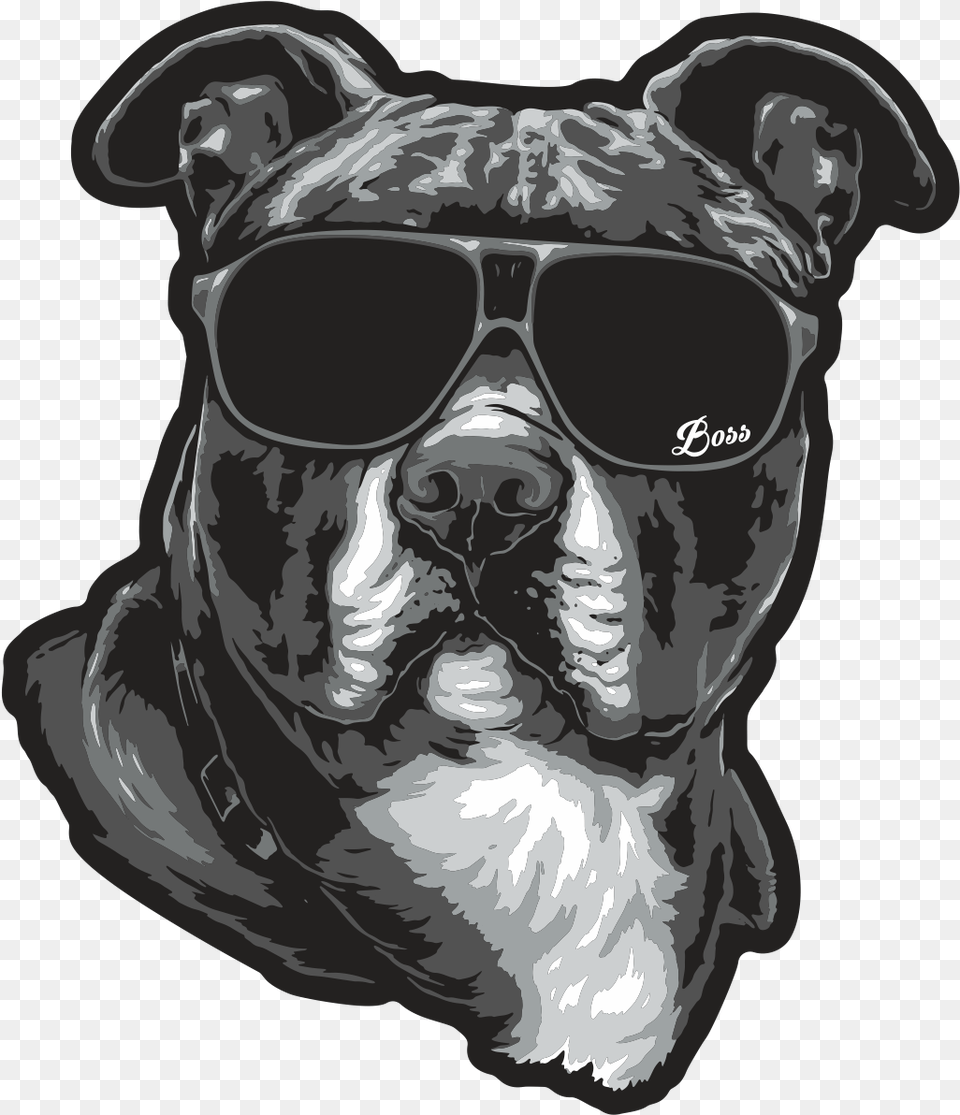 Boston Terrier American Staffordshire Terrier Dog Breed American Bully Aufkleber, Accessories, Sunglasses, Canine, Animal Free Transparent Png