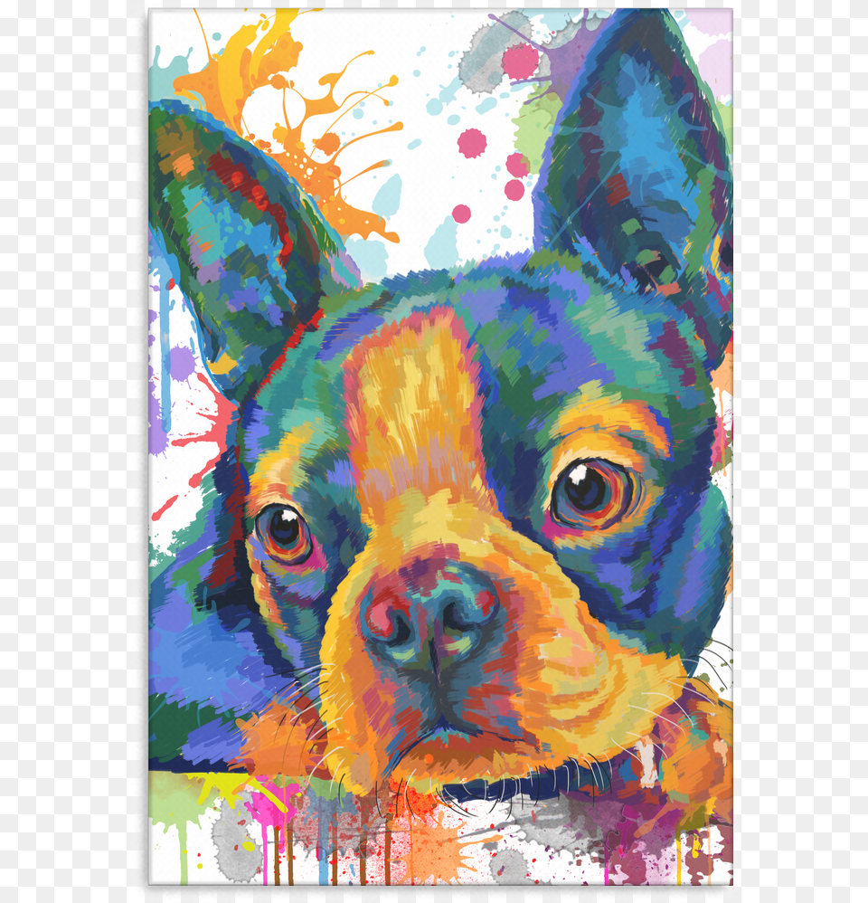 Boston Terrier Canvas Colourful Splashes, Art, Animal, Canine, Mammal Free Png