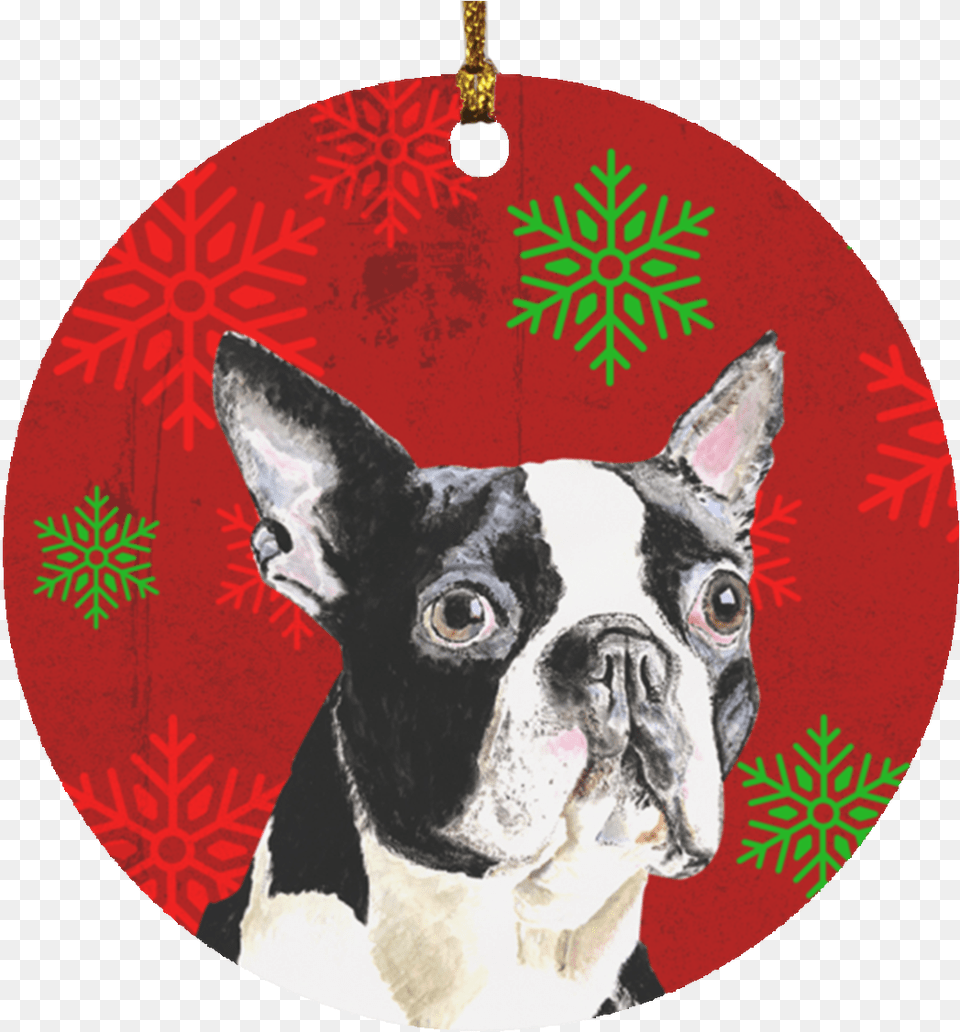 Boston Terrier Christmas Ornament Boston Terrier, Animal, Canine, Dog, Mammal Png Image
