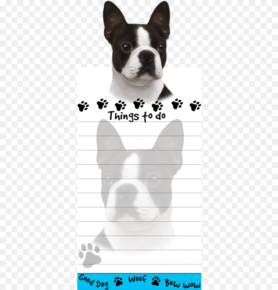 Boston Terrier List Stationery Notepad Bundle 2 Items Boston Terrier Magnetic List Note, Animal, Bulldog, Canine, Dog Free Png