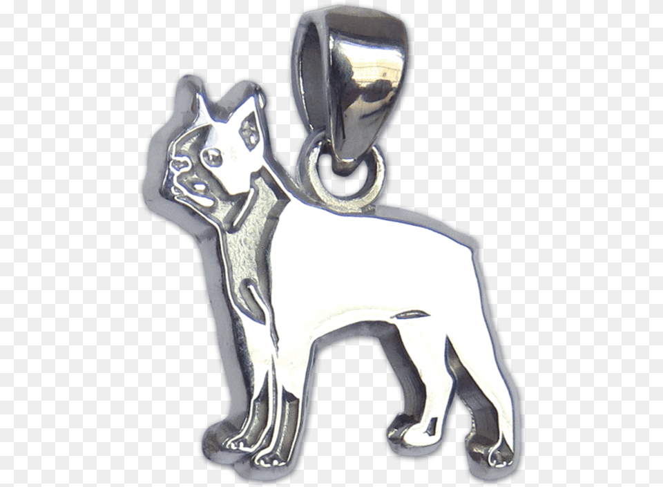 Boston Terrier Pendant Collar, Accessories, Animal, Cat, Egyptian Cat Png Image