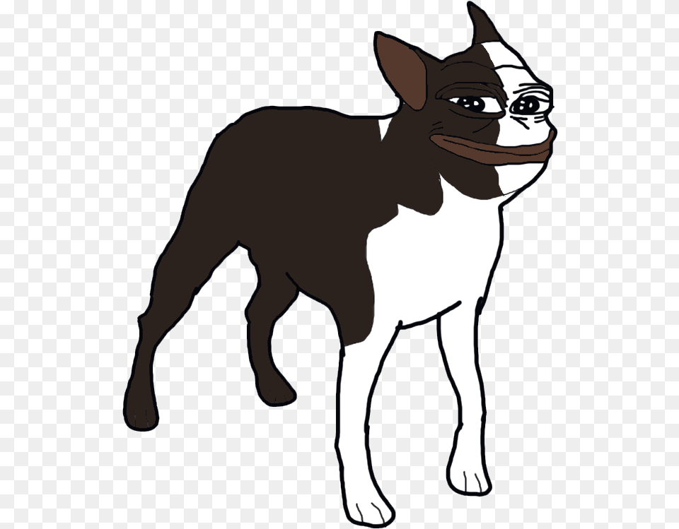 Boston Terrier Pepe, Animal, Boston Bull, Bulldog, Canine Png Image