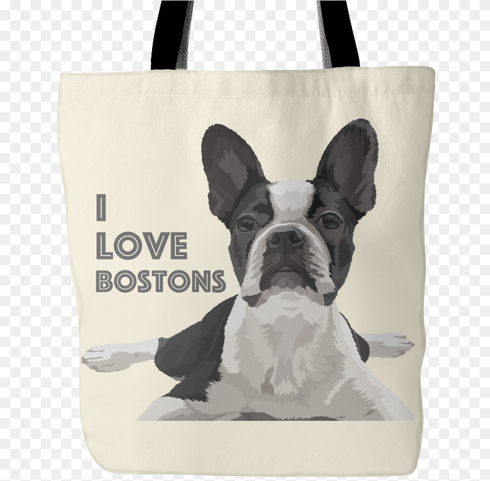 Boston Terrier Puppies, Bag, Dog, Animal, Pet Png Image