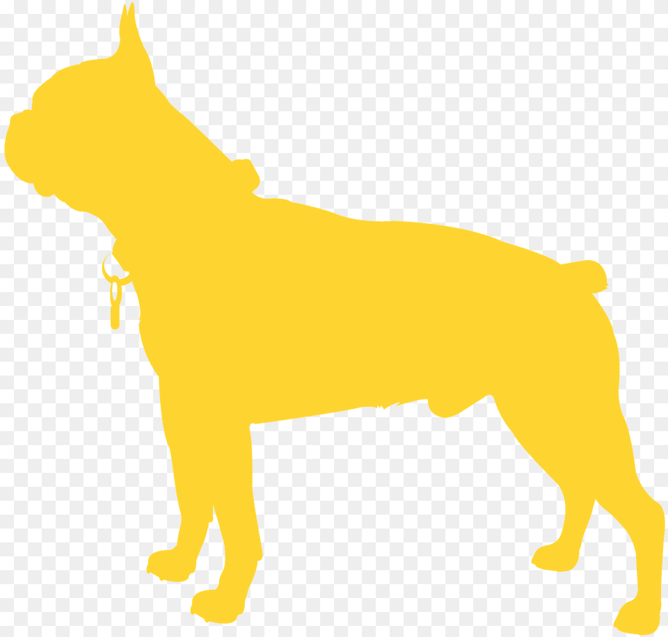 Boston Terrier Silhouette, Animal, Pet, Canine, Mammal Free Png