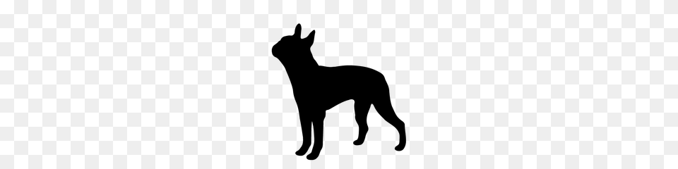 Boston Terrier Silhouette Clipart Clip Art Images Cartoon, Animal, Canine, Dog, Mammal Free Transparent Png