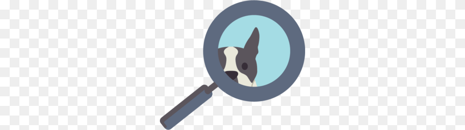 Boston Terrier Vs French Bulldog, Magnifying Free Png