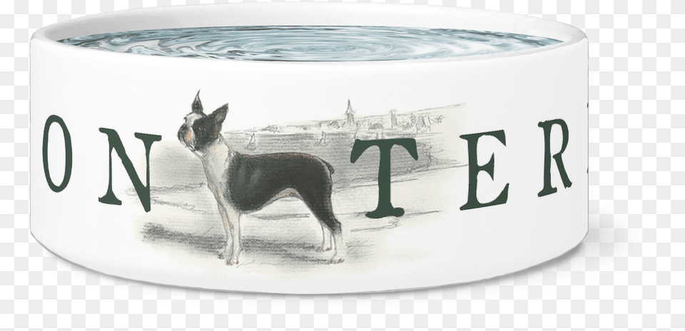 Boston Terrier Water Or Food Bowl Boston Terrier, Animal, Canine, Dog, Mammal Free Transparent Png