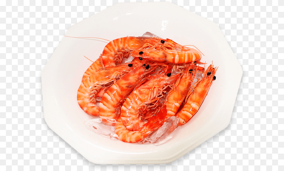 Botan Shrimp, Animal, Food, Invertebrate, Sea Life Png Image