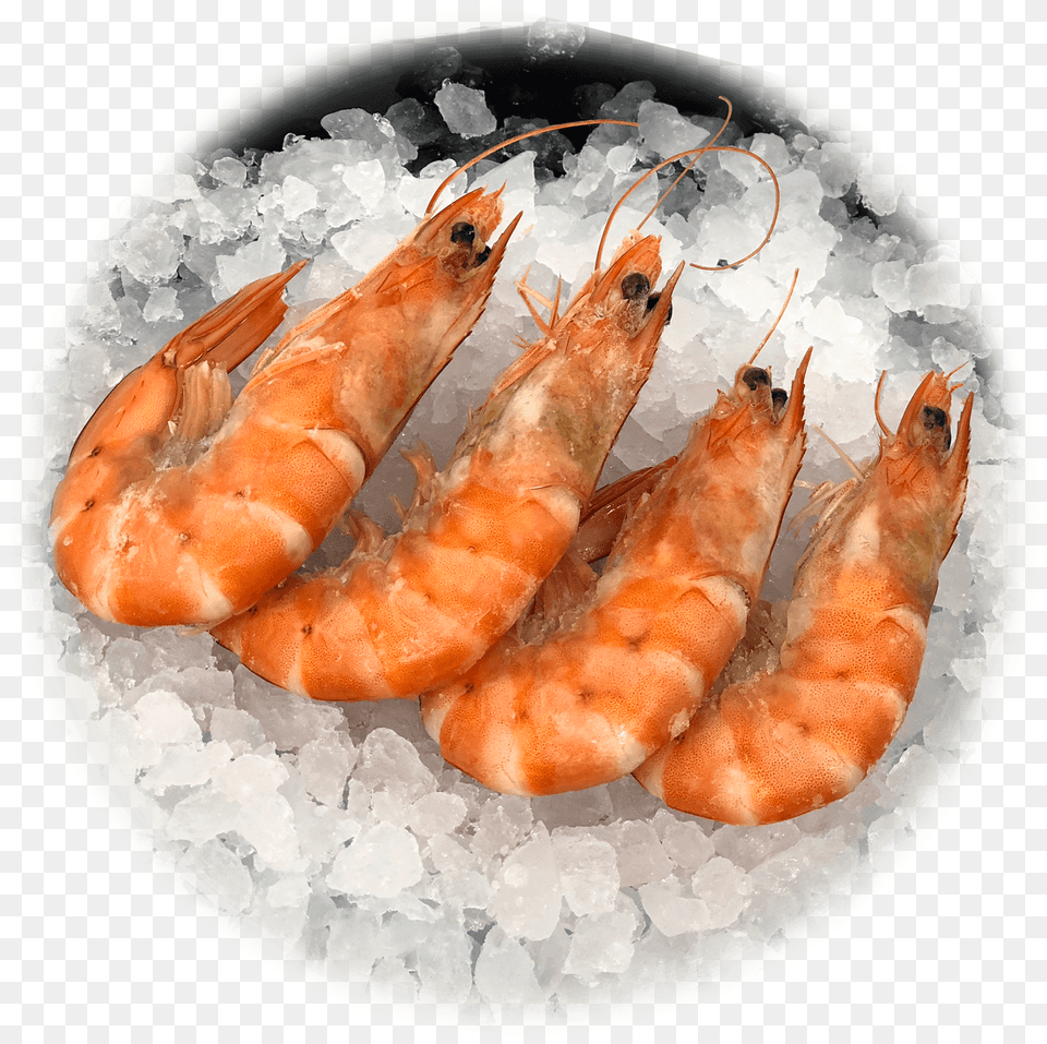 Botan Shrimp, Animal, Food, Invertebrate, Sea Life Free Transparent Png