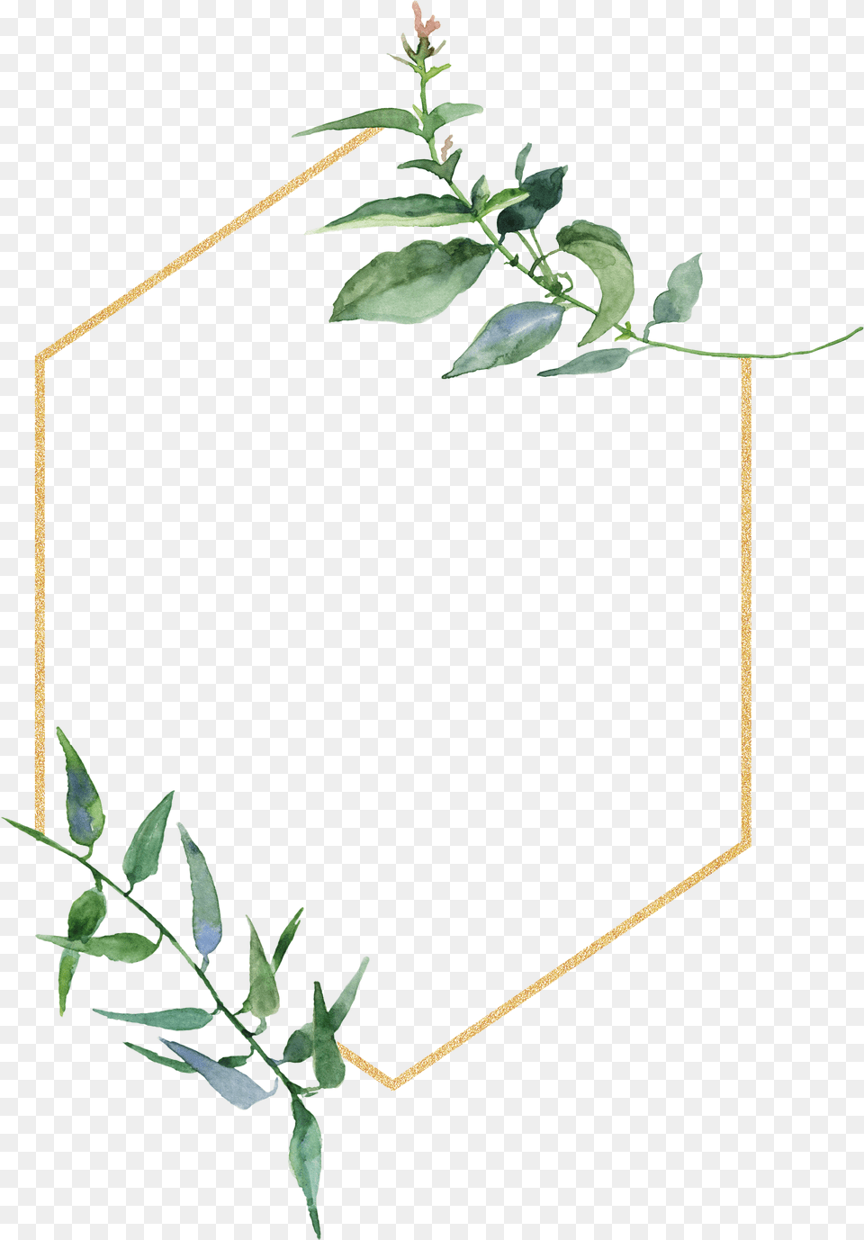 Botanic Frame, Plant, Potted Plant, Leaf, Flower Free Png