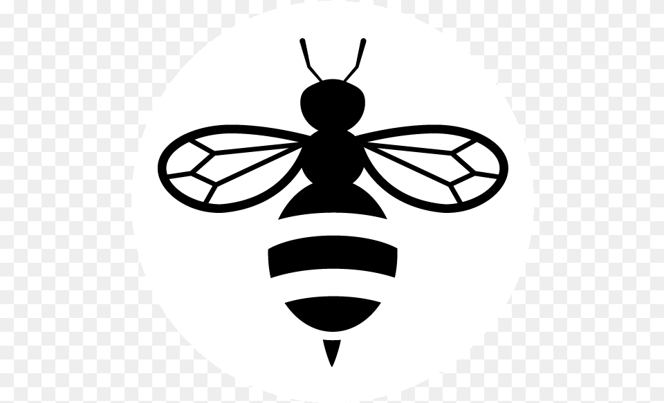 Botanica Honey Bee Icon, Animal, Insect, Invertebrate, Stencil Png