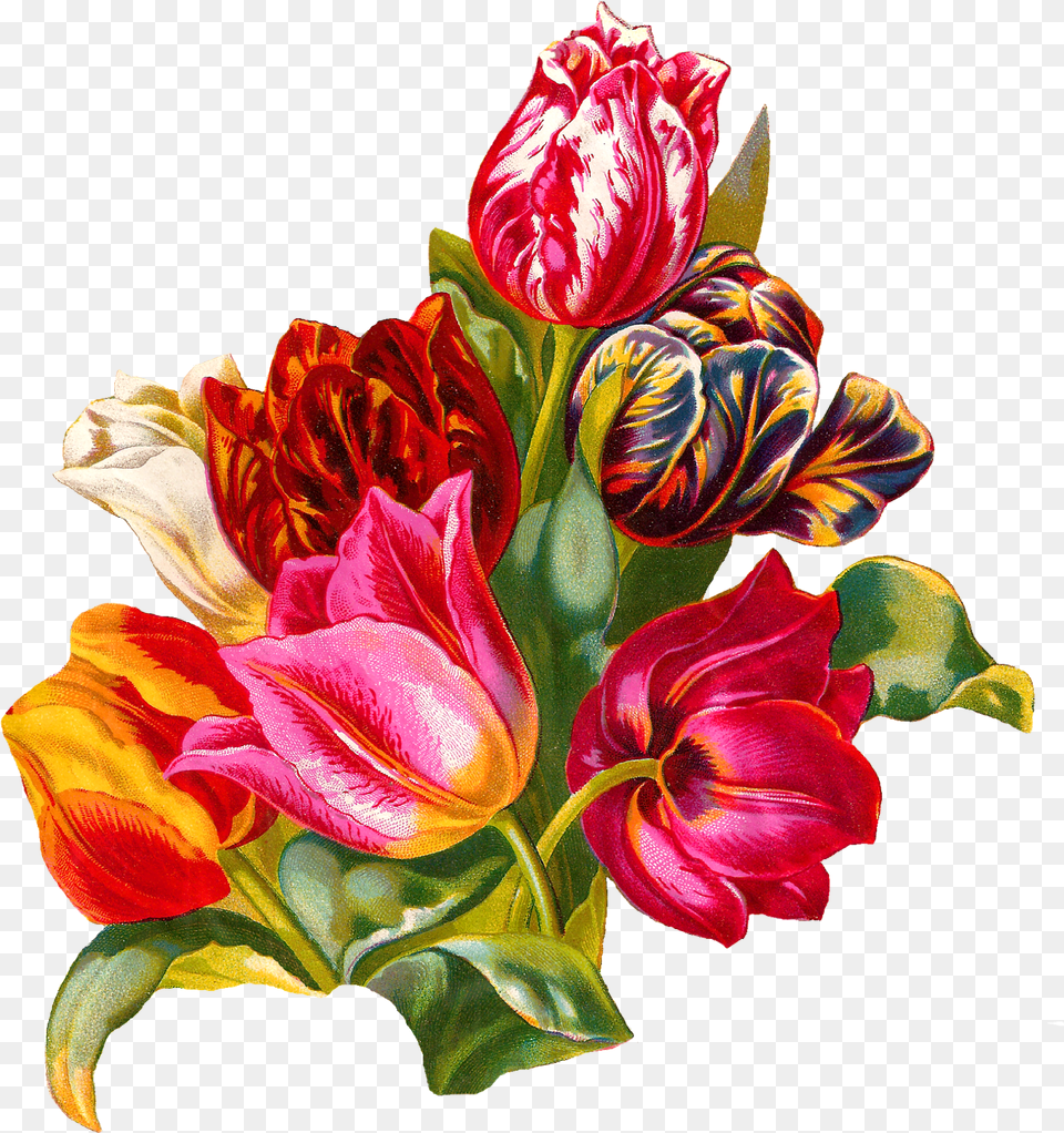 Botanical Artwork Tulip Flower Digital Floristry, Flower Bouquet, Plant, Flower Arrangement, Graphics Png Image