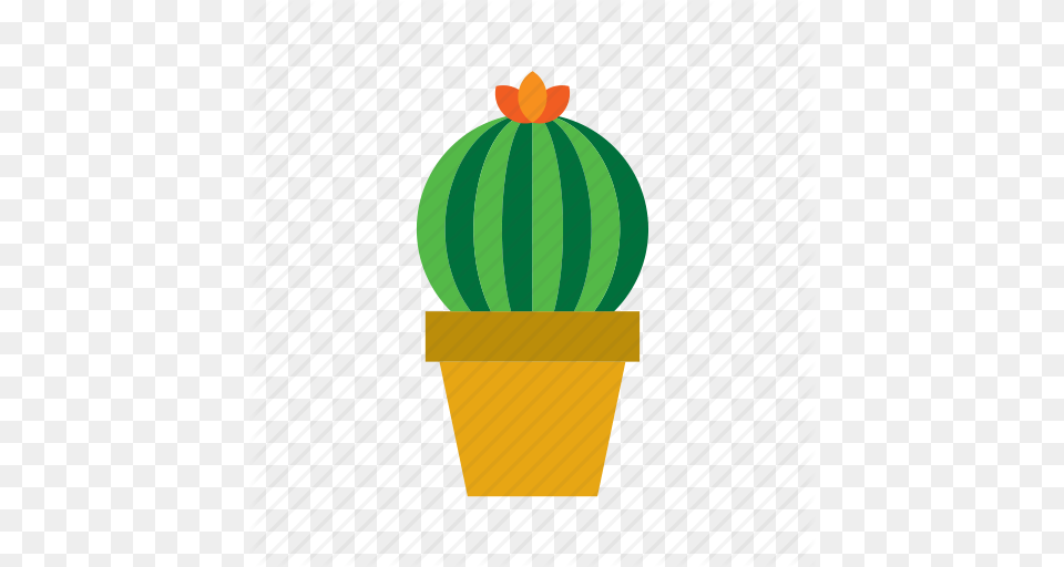 Botanical Cacti Cactus Plant Pot Potted Succulent Icon, Food, Fruit, Produce Free Png